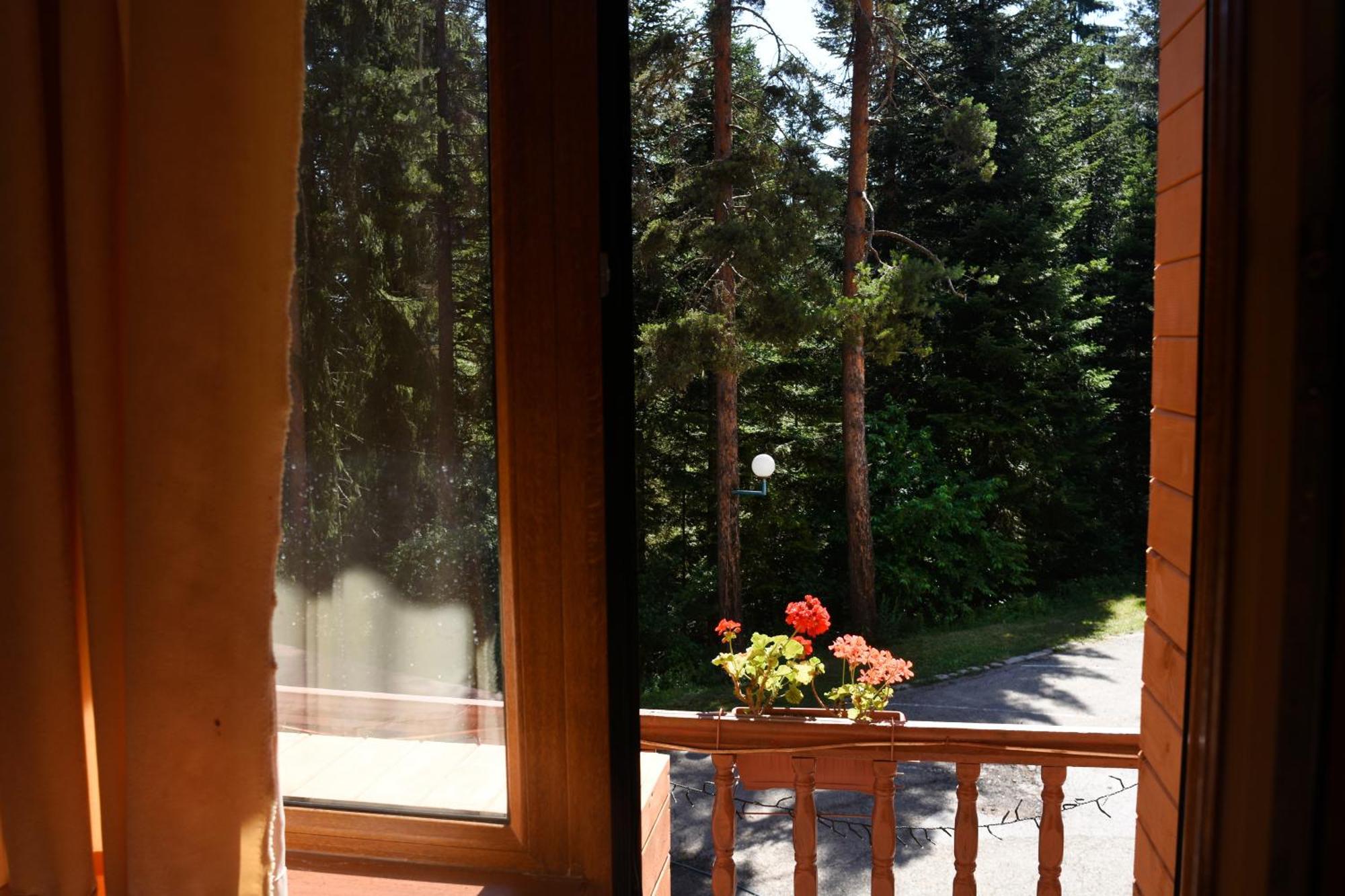 Ski Hotel Katerina บันสโก ภายนอก รูปภาพ
